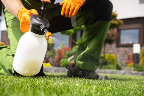 Best Best Pest Control Companies  in Clifton, TN
