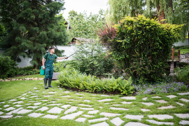 Best Wasp Removal Services  in Clifton, TN