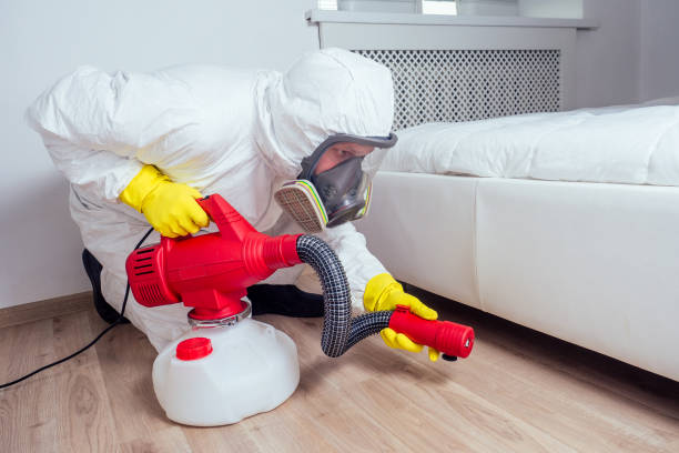 Best Emergency Pest Control  in Clifton, TN