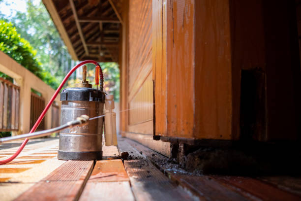 Best Local Pest Control Services  in Clifton, TN