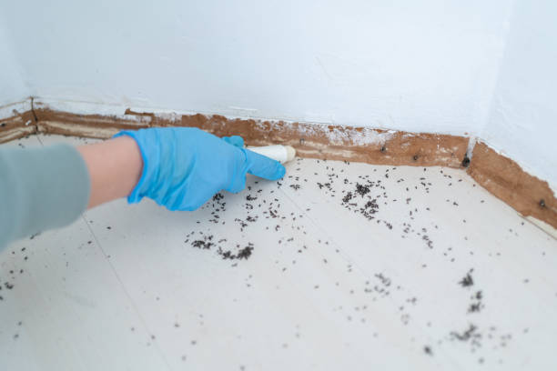 Pest Control Cost in Clifton, TN