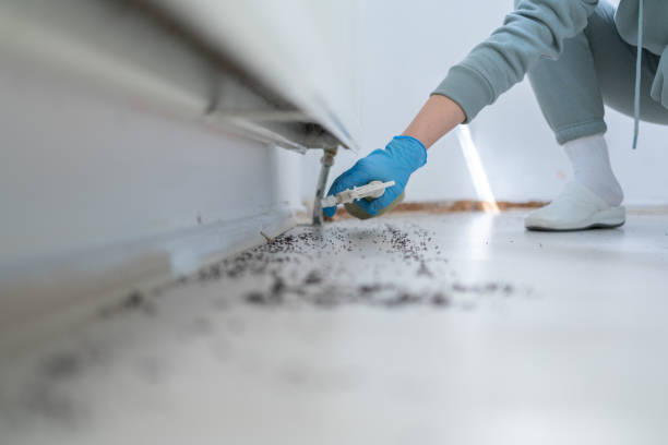 Best Emergency Pest Control  in Clifton, TN