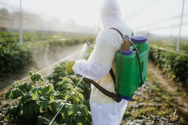 Best Affordable Pest Control Services  in Clifton, TN